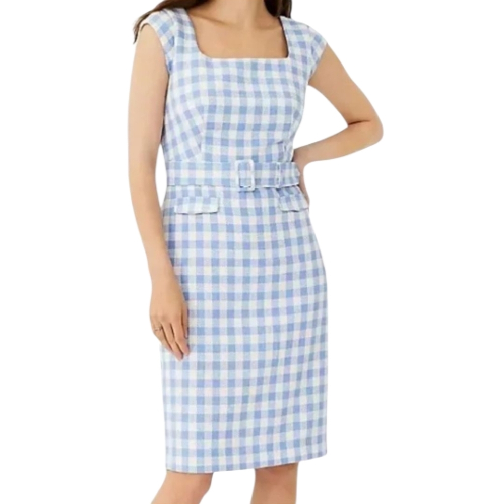 Ann Taylor Size 2. Blue and White Dress Sheath Gingham Business Dress.
